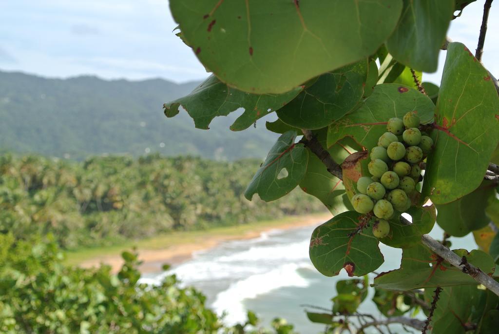 Sunrise Villa Maunabo Phòng bức ảnh